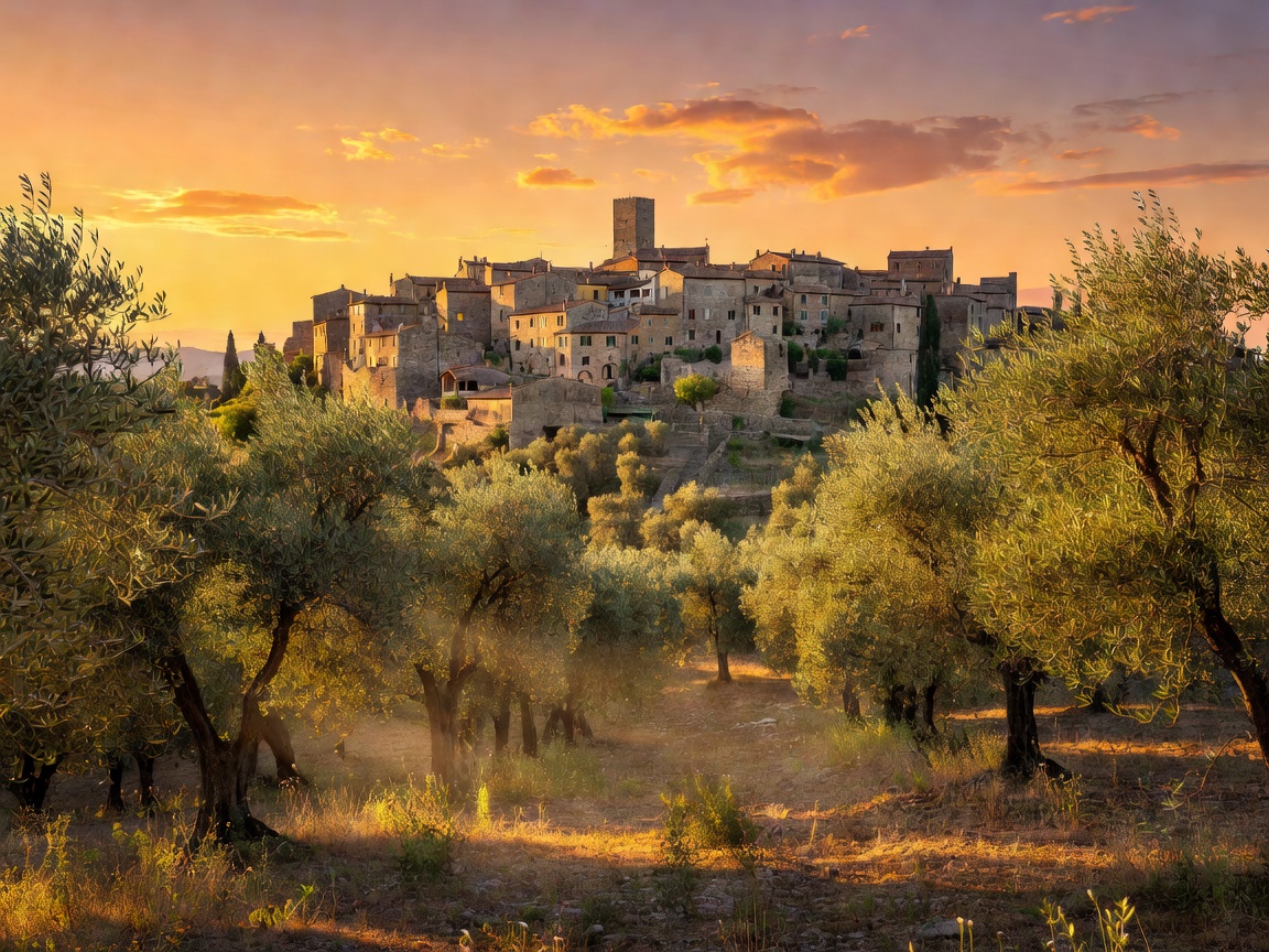 Warm sunset glowing over an ancient Italian hill settlement framed by olive groves